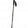 Палки треккинговые TALBERG CLASSIC POLE (1 пара, чёрный) TLP-200 CHERNYII
